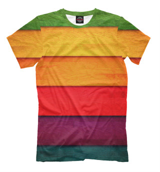 Мужская футболка Разноцветные полосы