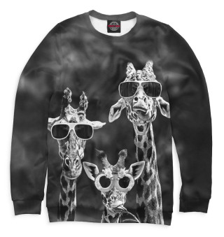 Жирафы в очках